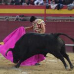 Valdemorillo, sábado 9 de febrero de 2019