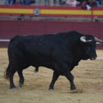 Valdemorillo, sábado 9 de febrero de 2019