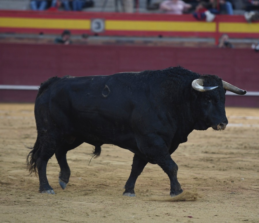 Valdemorillo, sábado 9 de febrero de 2019