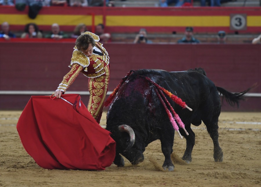 Valdemorillo, sábado 9 de febrero de 2019