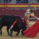 Valdemorillo, sábado 9 de febrero de 2019