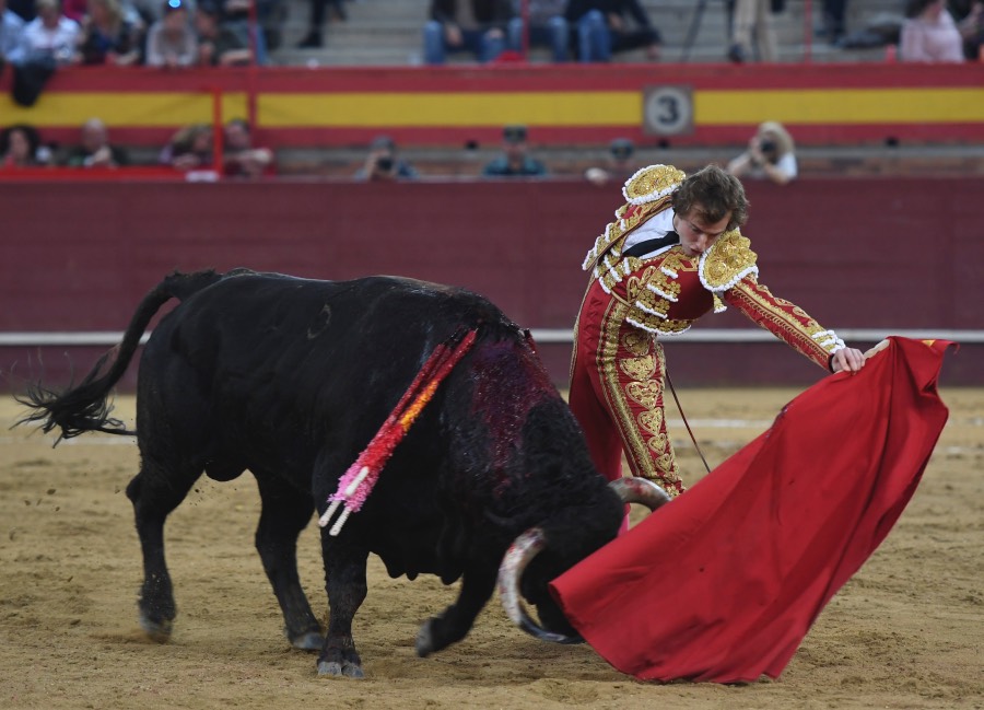Valdemorillo, sábado 9 de febrero de 2019