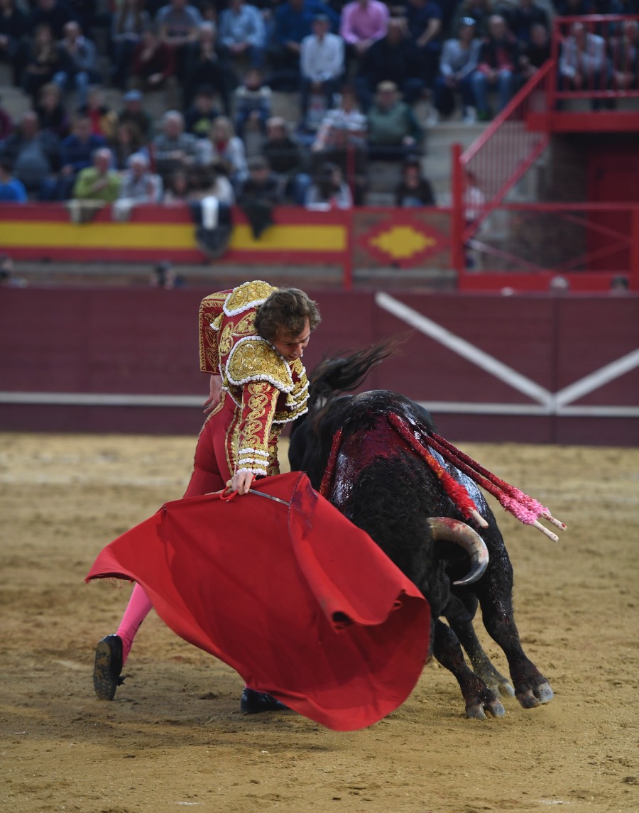 Valdemorillo, sábado 9 de febrero de 2019