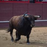 Valdemorillo, sábado 9 de febrero de 2019