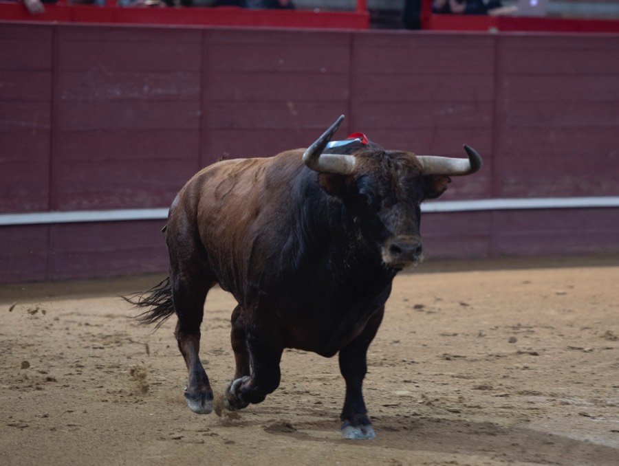 Valdemorillo, sábado 9 de febrero de 2019