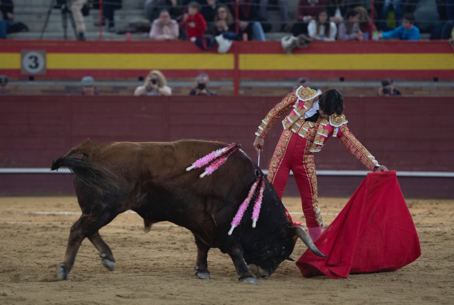 Valdemorillo, sábado 9 de febrero de 2019