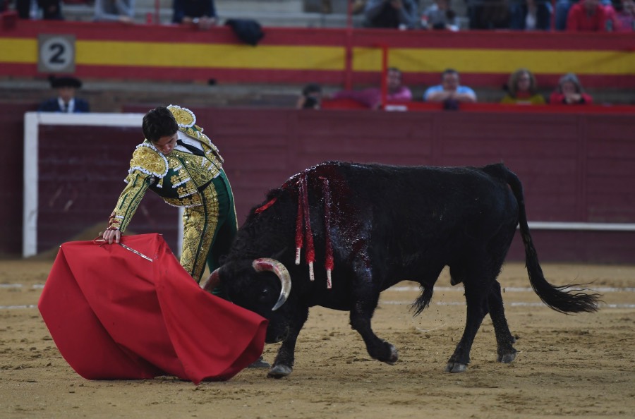 Valdemorillo, sábado 9 de febrero de 2019