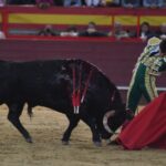 Valdemorillo, sábado 9 de febrero de 2019