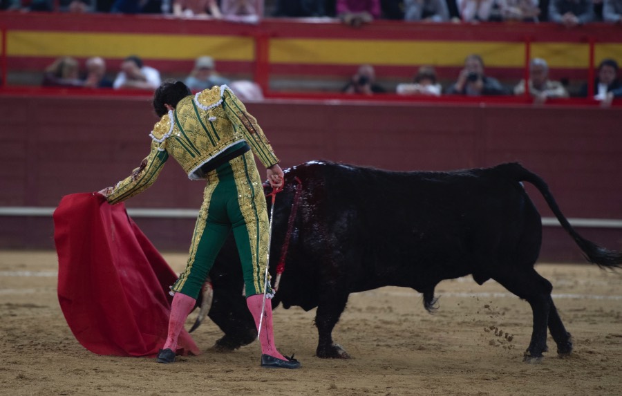 Valdemorillo, sábado 9 de febrero de 2019