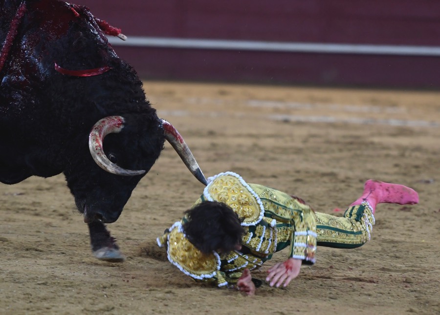 Valdemorillo, sábado 9 de febrero de 2019