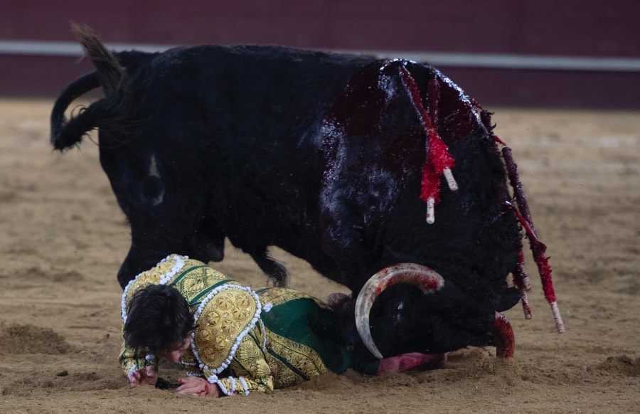 Valdemorillo, sábado 9 de febrero de 2019