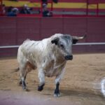 Valdemorillo, sábado 9 de febrero de 2019