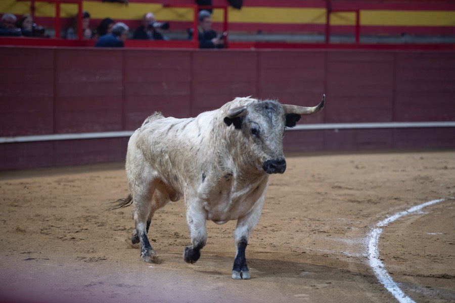Valdemorillo, sábado 9 de febrero de 2019