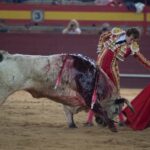 Valdemorillo, sábado 9 de febrero de 2019