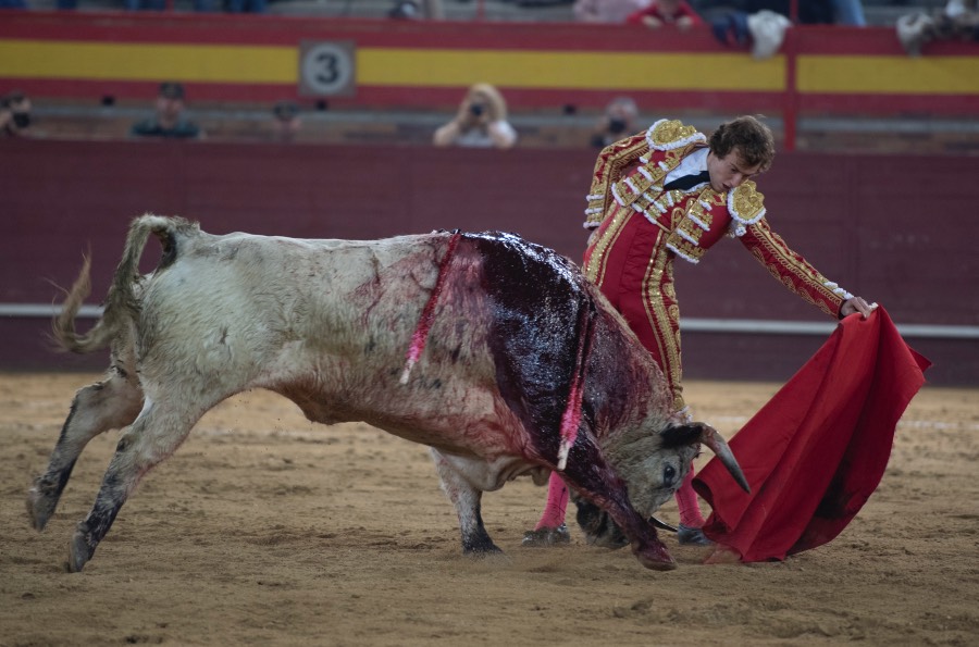 Valdemorillo, sábado 9 de febrero de 2019