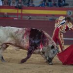 Valdemorillo, sábado 9 de febrero de 2019