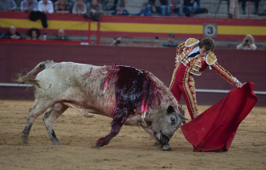 Valdemorillo, sábado 9 de febrero de 2019
