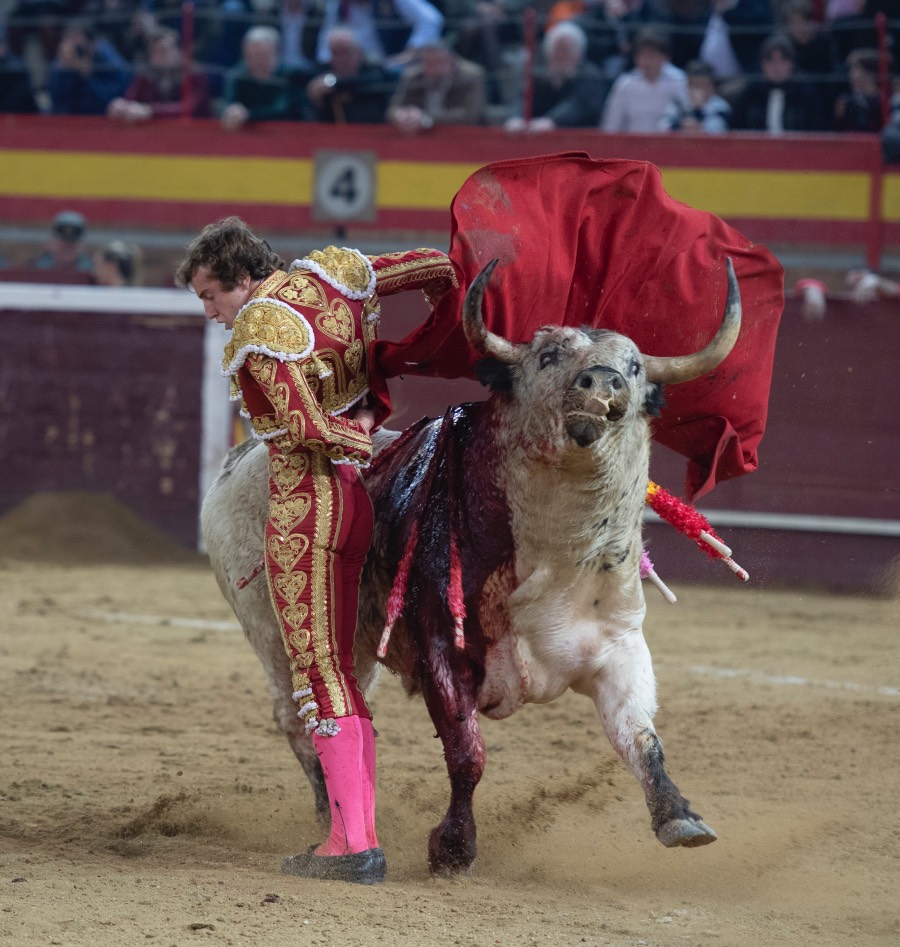 Valdemorillo, sábado 9 de febrero de 2019