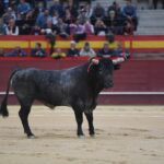 Valdemorillo, domingo 10 de febrero de 2019