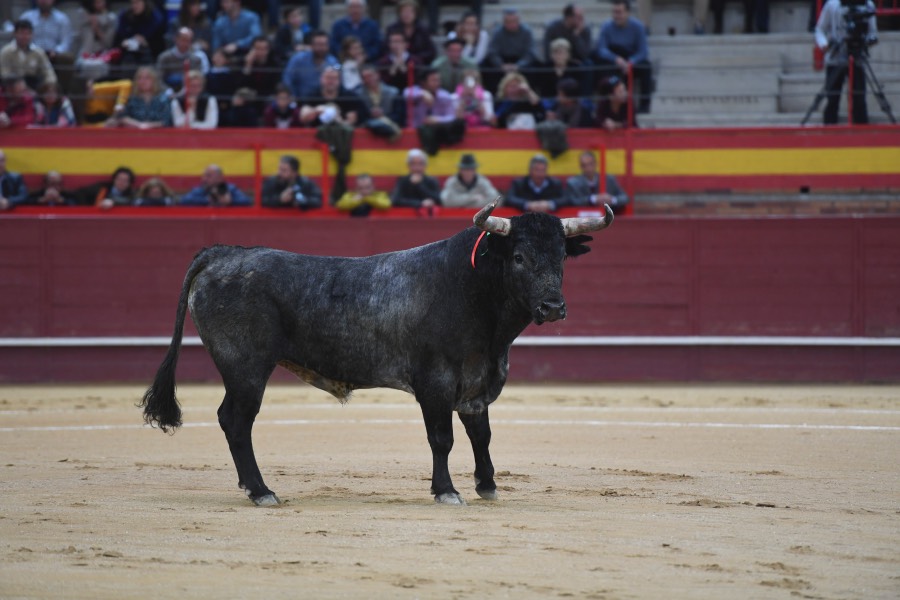 Valdemorillo, domingo 10 de febrero de 2019
