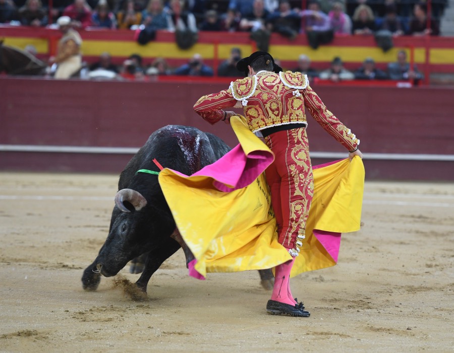 Valdemorillo, domingo 10 de febrero de 2019