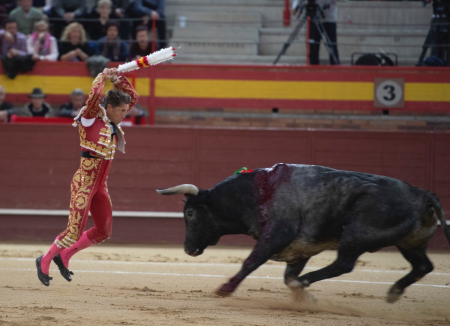 Valdemorillo, domingo 10 de febrero de 2019