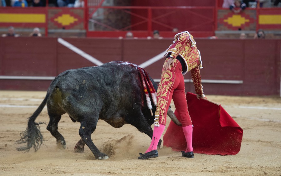 Valdemorillo, domingo 10 de febrero de 2019