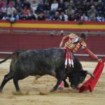 Valdemorillo, domingo 10 de febrero de 2019