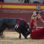 Valdemorillo, domingo 10 de febrero de 2019