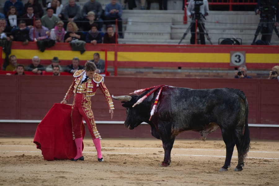 Valdemorillo, domingo 10 de febrero de 2019