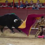 Valdemorillo, domingo 10 de febrero de 2019