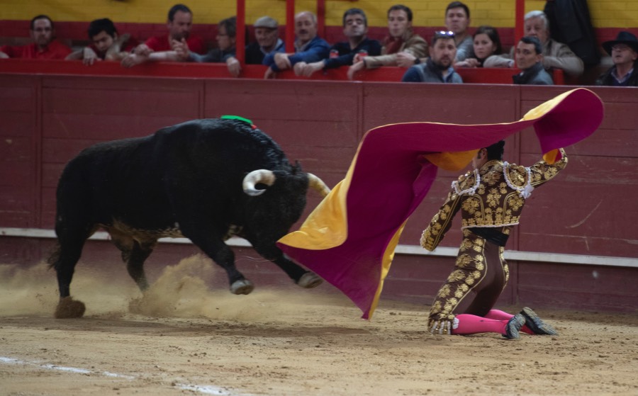 Valdemorillo, domingo 10 de febrero de 2019