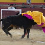 Valdemorillo, domingo 10 de febrero de 2019