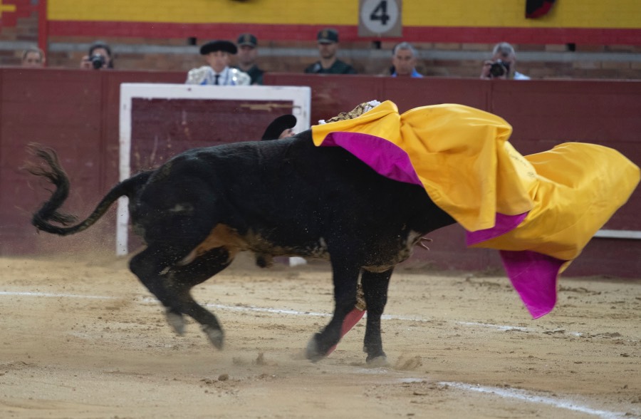 Valdemorillo, domingo 10 de febrero de 2019