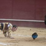 Valdemorillo, domingo 10 de febrero de 2019