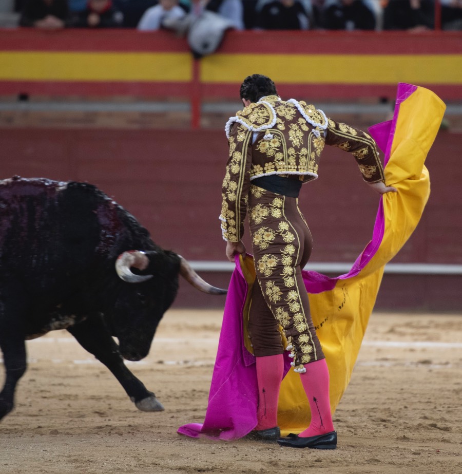 Valdemorillo, domingo 10 de febrero de 2019