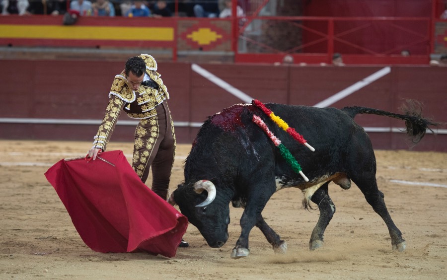 Valdemorillo, domingo 10 de febrero de 2019
