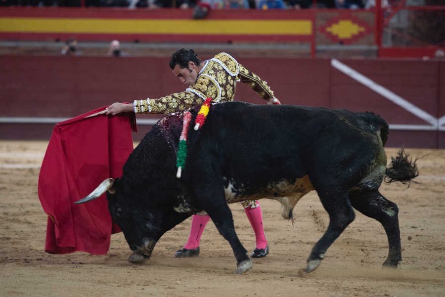 Valdemorillo, domingo 10 de febrero de 2019