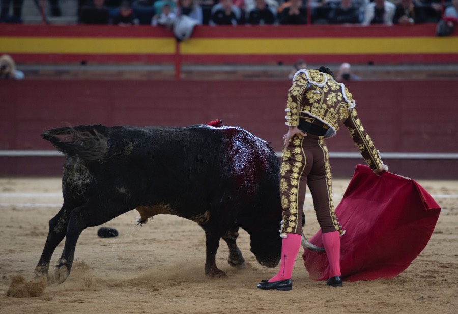 Valdemorillo, domingo 10 de febrero de 2019