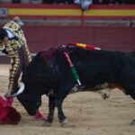 Valdemorillo, domingo 10 de febrero de 2019