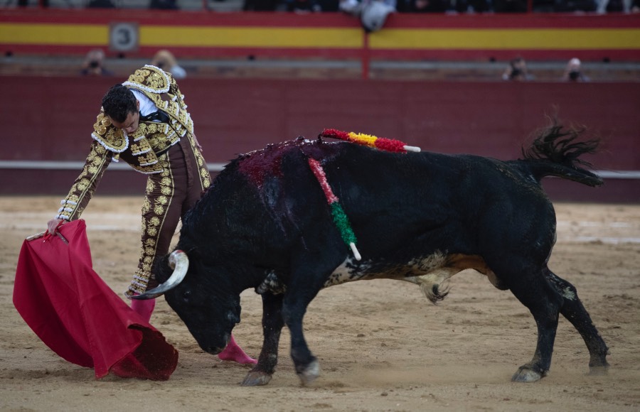 Valdemorillo, domingo 10 de febrero de 2019