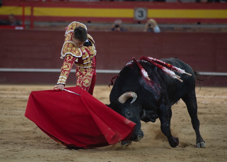 Valdemorillo, domingo 10 de febrero de 2019
