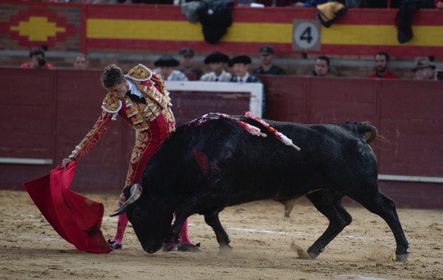 Valdemorillo, domingo 10 de febrero de 2019