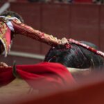 Valdemorillo, domingo 10 de febrero de 2019