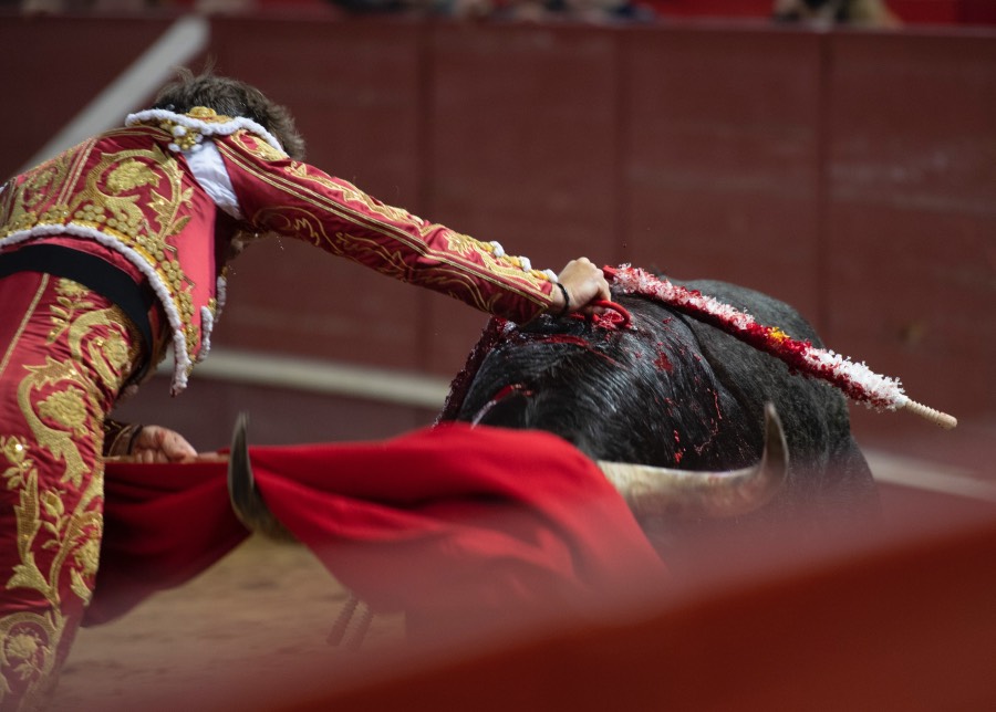 Valdemorillo, domingo 10 de febrero de 2019