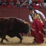 Valdemorillo, domingo 10 de febrero de 2019