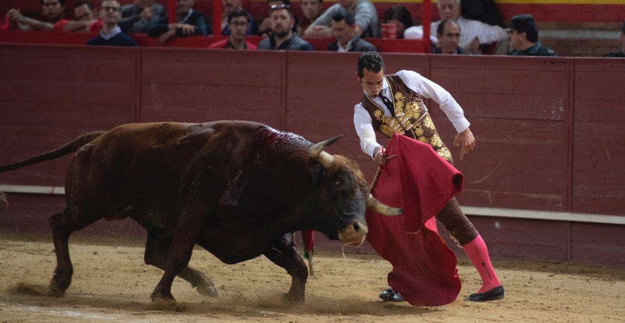 Valdemorillo, domingo 10 de febrero de 2019