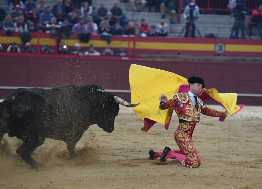 Valdemorillo, domingo 10 de febrero de 2019