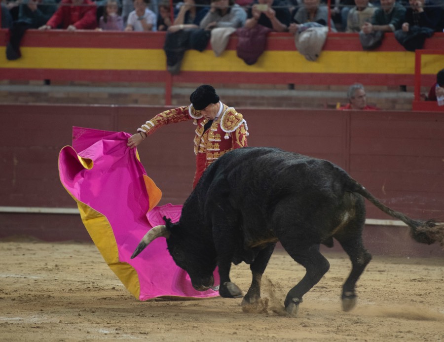 Valdemorillo, domingo 10 de febrero de 2019