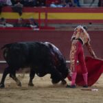 Valdemorillo, domingo 10 de febrero de 2019